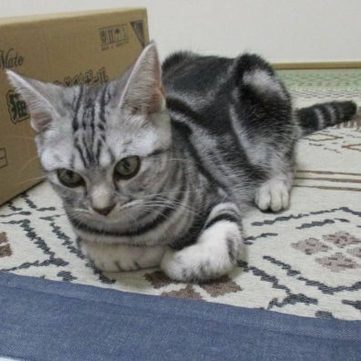 5ff3b553 9af3 4274 a695 204cdb0667bc 1538051931181