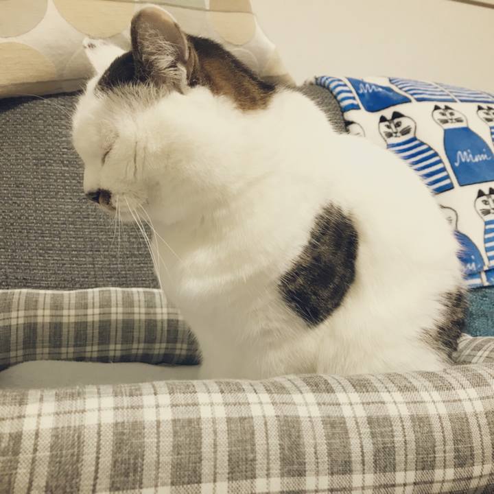 5ff3e909 24c9 41ad 8b0a 4d6fd0c63523 1510117048521