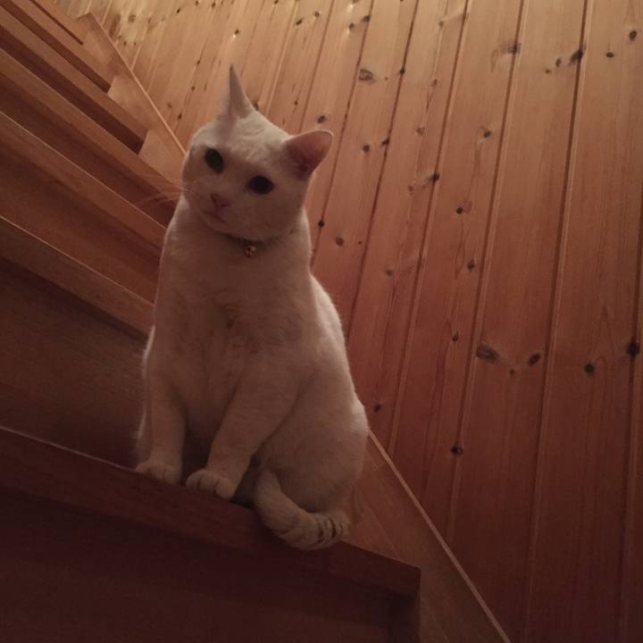 5ff3f0ea 5d1c 459a 9d89 80d3d04c2b5e 1551781481472