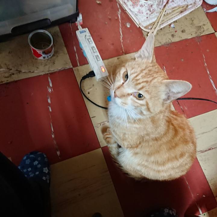 5ff42069 dd4d 4062 874d 452cce78c038 1557434413920