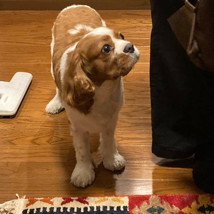 5ff43904 8c14 4389 984e 95edbc748bba 1756695899220