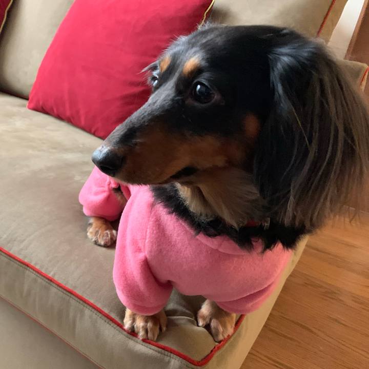 5ff45a96 74f4 468f af29 604abb54dff2 1580633021607