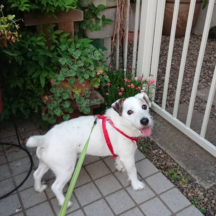 5ff473c6 ab52 43a5 818e b3df0da771d8 1558741308000