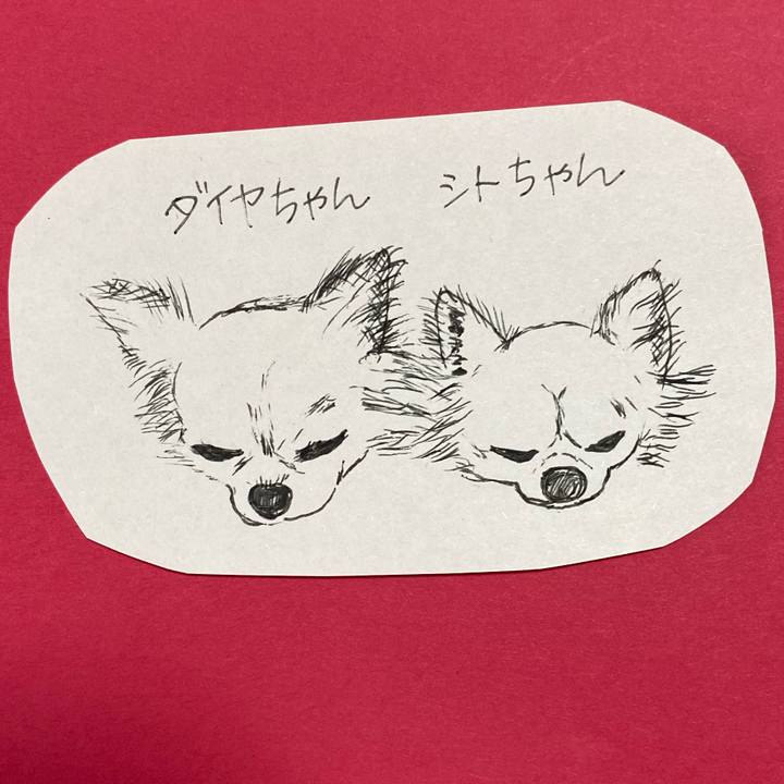 5ff48865 3274 4cea a0dc 769ba2f47575 1618804578351