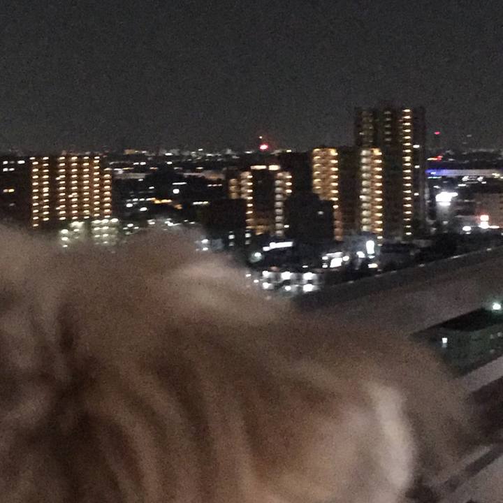 5ff488df 9837 4005 aa99 a584f45a5450 1533381047494