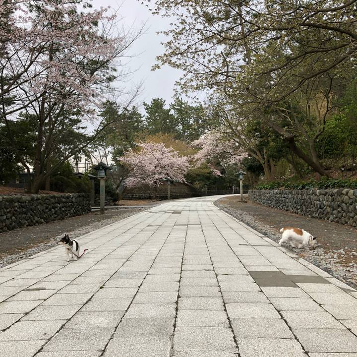 5ff49569 d2ed 4b47 907b 32993a46e1c4 1555022709266