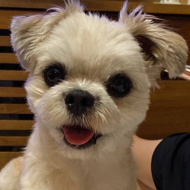 5ff511a4 a96a 4680 9daa ff54e00e5fc0 1569503446298