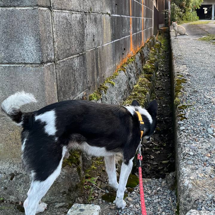 5ff51b1f 9d54 4f96 9fcf fe85d32769f5 1715692007180