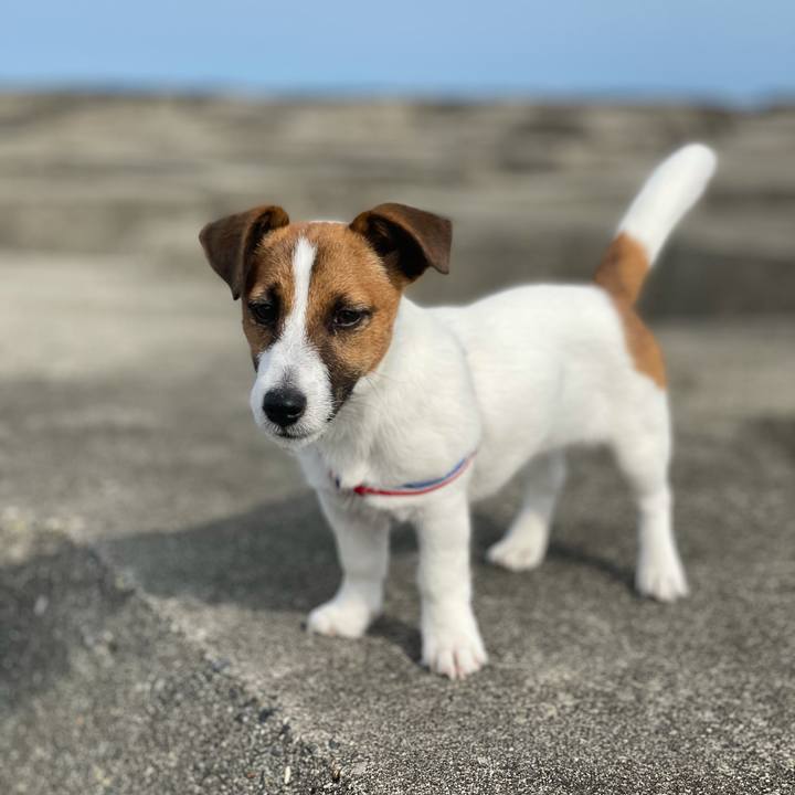 5ff54dfb c7bb 442d 9ac6 06e930c58578 1621814522907