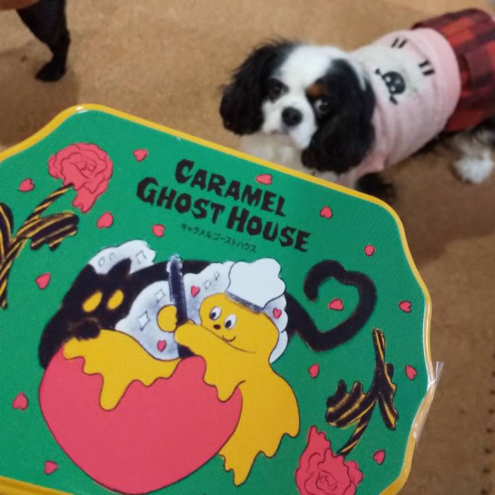 5ff62da1 f74e 4a86 aeef af6ee55ddace 1581240626352