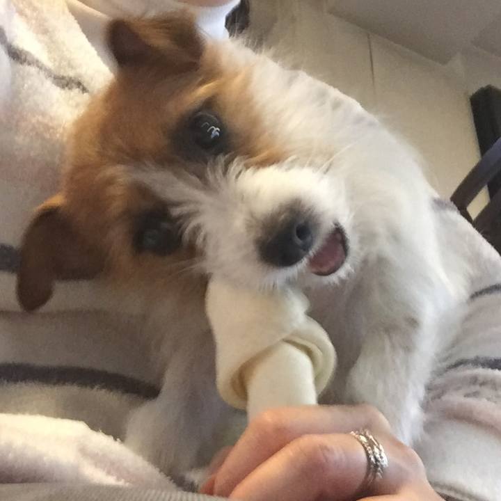 5ff6383f 465d 426d 9a8b 48e2f3a9f23b 1516400920809