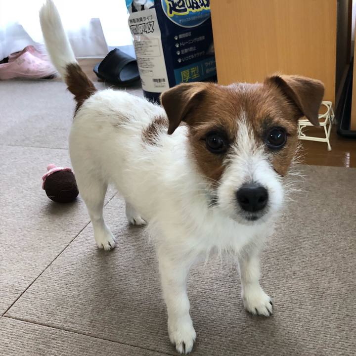 5ff670d4 5769 4fde a225 aa85c8dea905 1518934653652