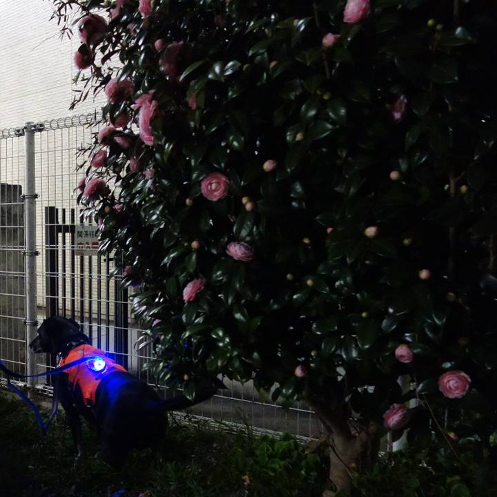 5ff679f2 86b3 40ba bcbd 88bfe442ed1b 1742825671737