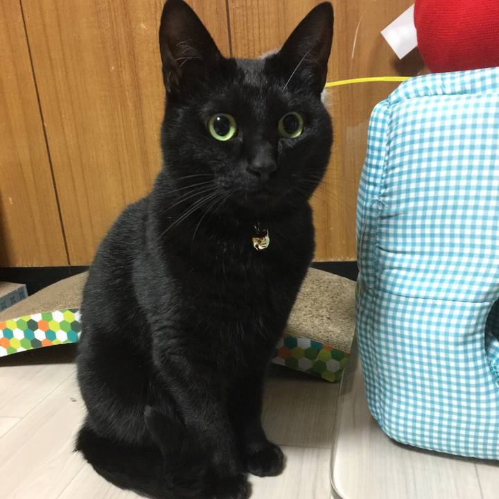 5ff67c70 04b9 4935 b660 f23fed69b4fc 1516882536078