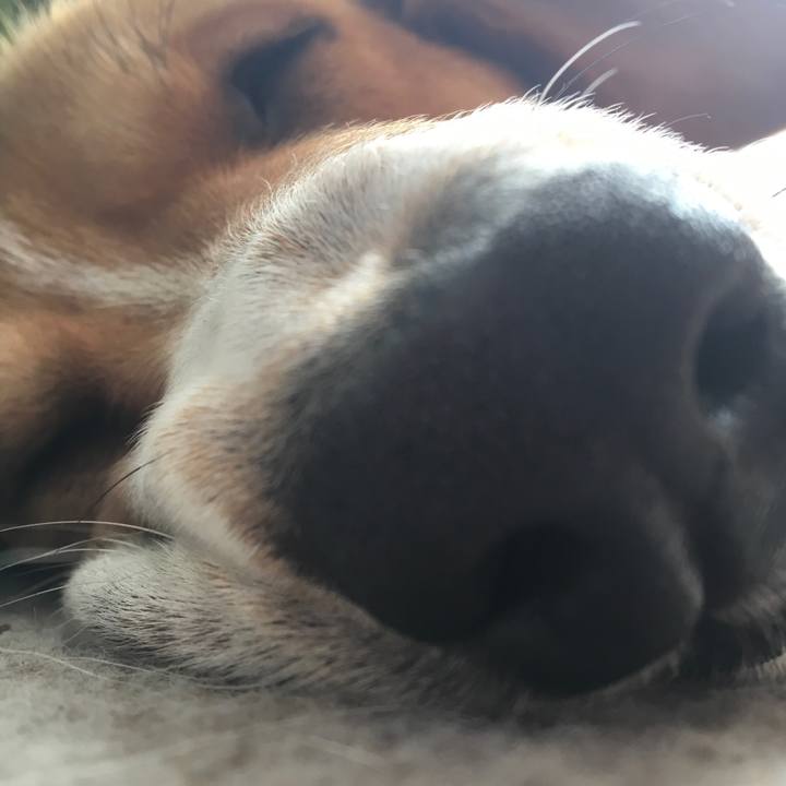 5ff69500 bc88 4601 8258 e1cc8d85d76e 1612488505067