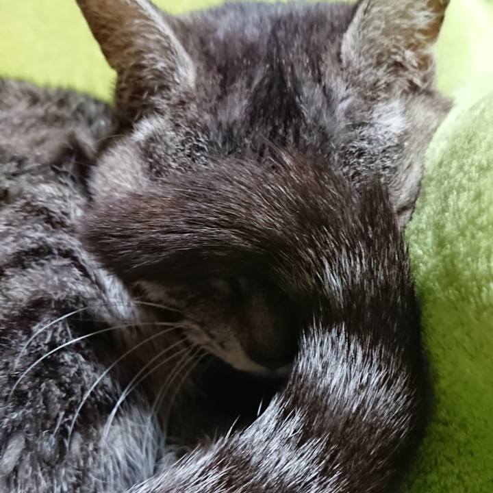 5ff70901 c7cf 4f6b 906d d41c9adae1cc 1583036650888