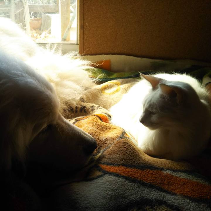 5ff73168 0e9c 4bda 9178 1cf21b6ce891 1719107124164