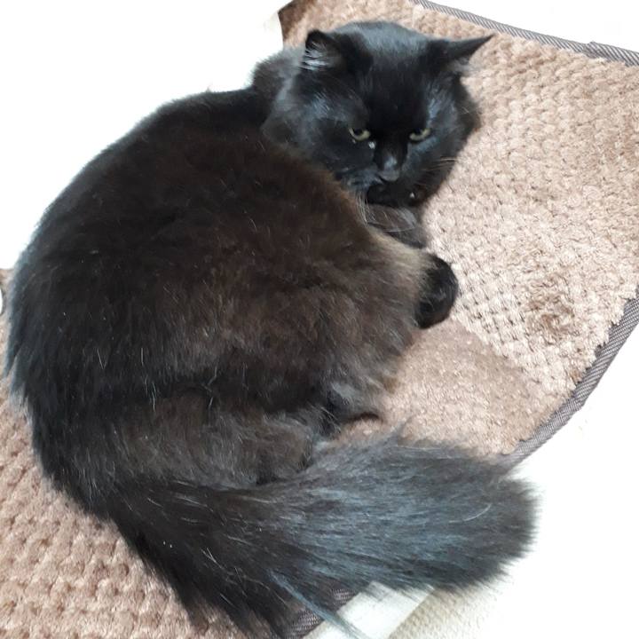 5ff7386f b3a7 4769 8a1c 76a585572fe9 1518726217601