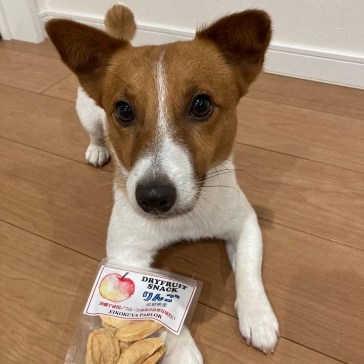 5ff73f38 335c 40ec a0de 866a0364ea3c 1656065934124