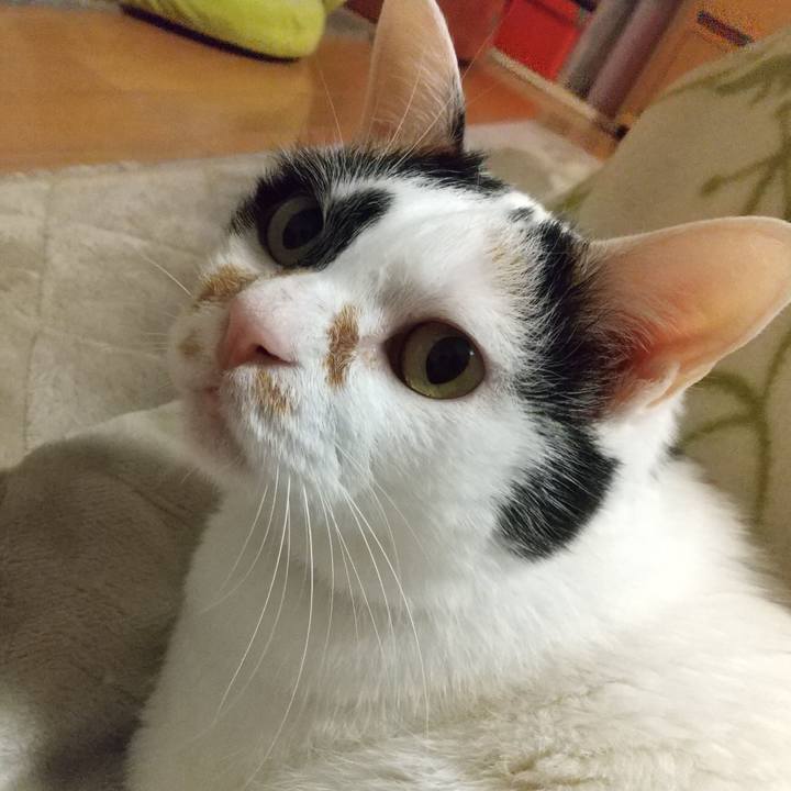 5ff74439 3209 433d bb93 012e7da2f9a2 1651061120071