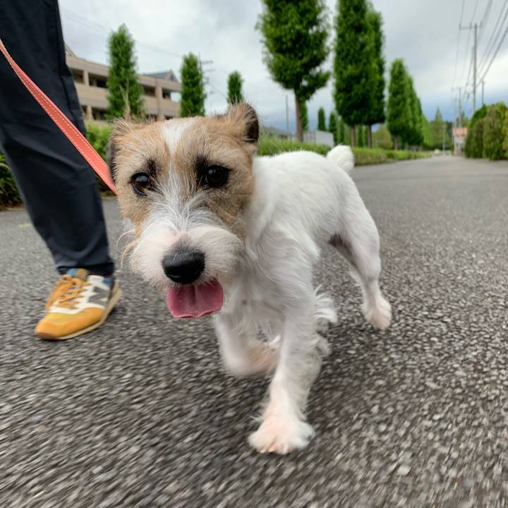 5ff7808b 21f8 431d a613 e52b08e3046f 1600510467843