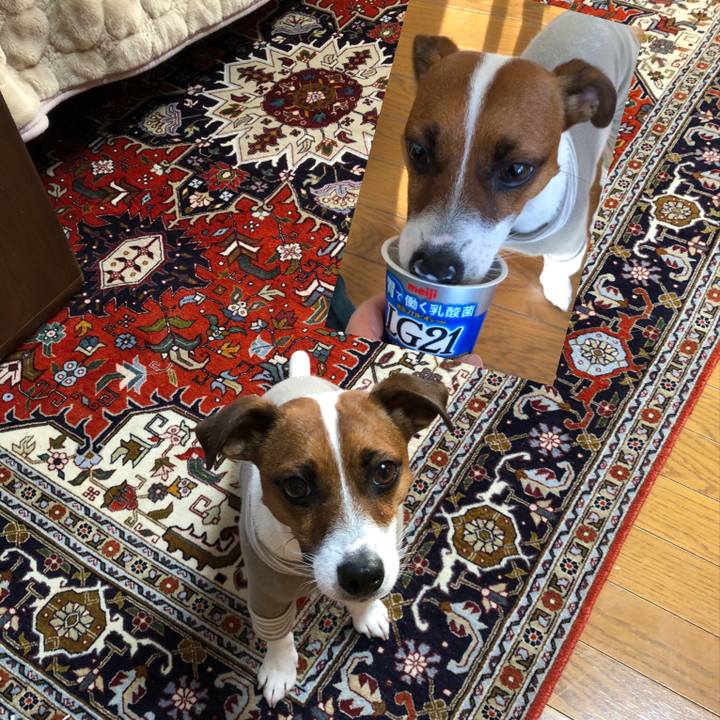 5ff7b78c 848a 43fa ba98 ce8d7ed162d7 1574380379351