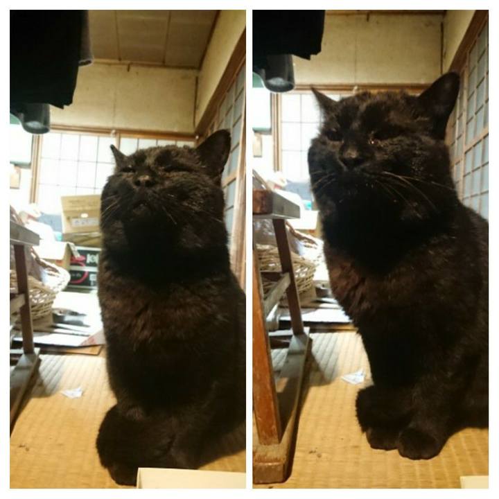 5ff7b87b c193 478a af2d 0095b08ccd49 1617016488418