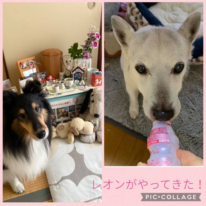 5ff7f8a8 3126 455a 8f88 753f37ba7b2d 1769817081466