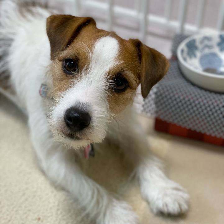 5ff82dd8 c0f6 4697 aa62 048c0e084925 1700778392856