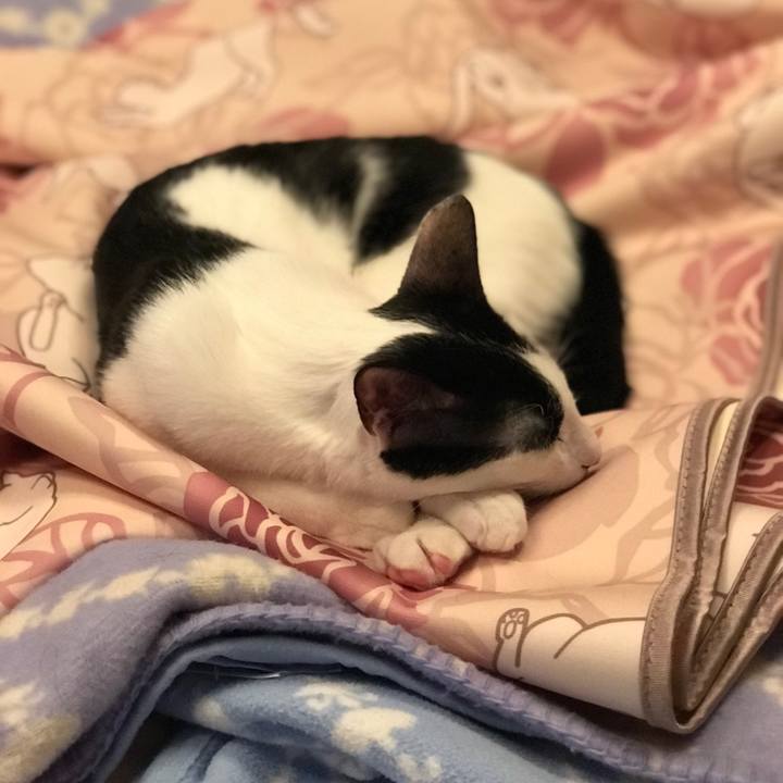 5ff849bc d45e 46a1 a8d2 9366e3407146 1518055262762