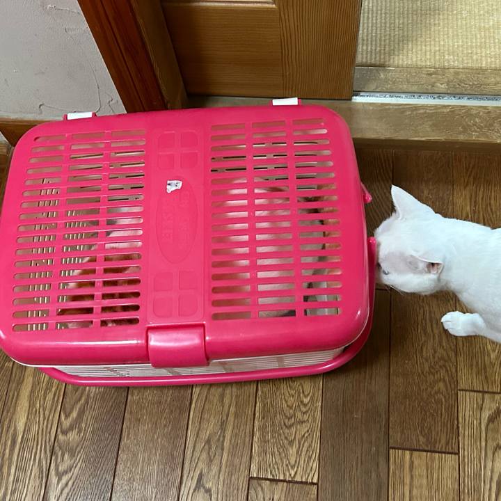 5ff8504a 82a3 48b8 b5a8 6f8234ee0dd6 1688346221781