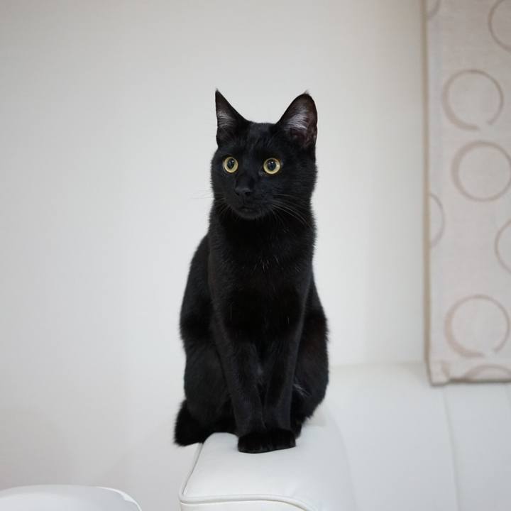 5ff871be 99fb 450a ae85 541719aaa116 1516924255081