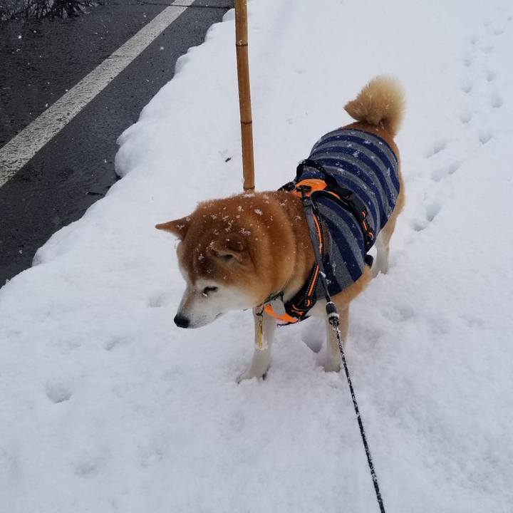 5ff88c13 25d5 4904 900d cd19377dfca6 1640408464751