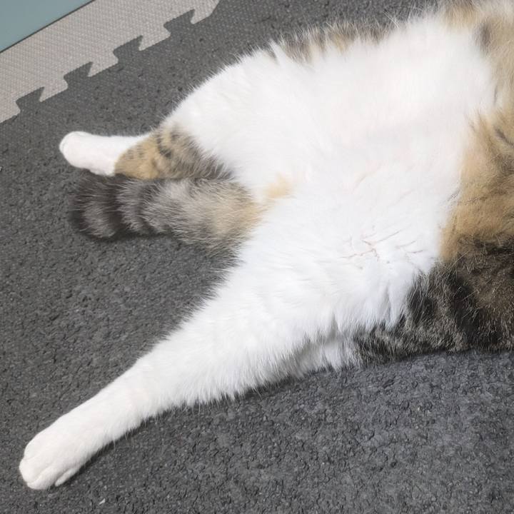 5ff8b997 08b5 40e3 bccc fe2151422bd5 1722516744903