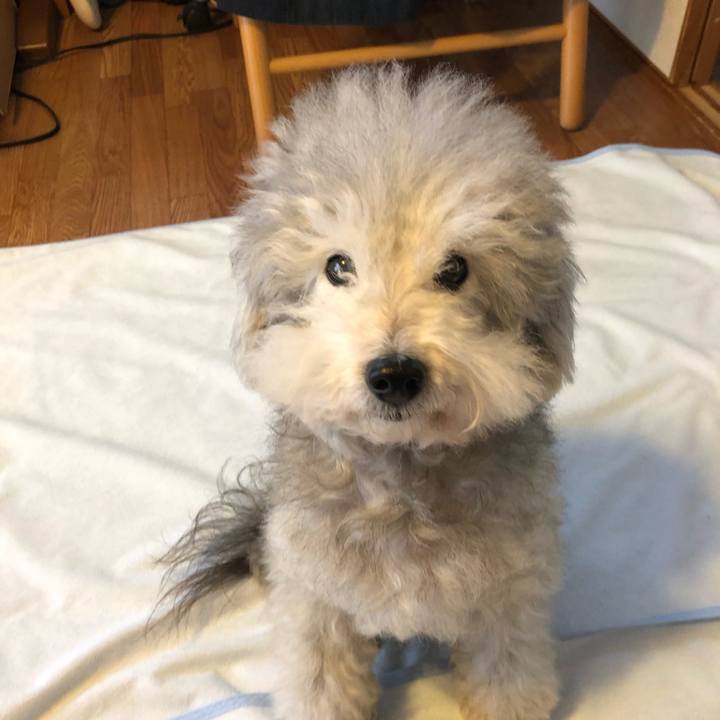 5ff8c4e2 d1db 413c 91cc 4b393805129e 1542756874382