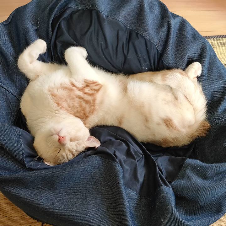 5ff8d267 449b 42cf 851d 0afeaab540d1 1652332302627