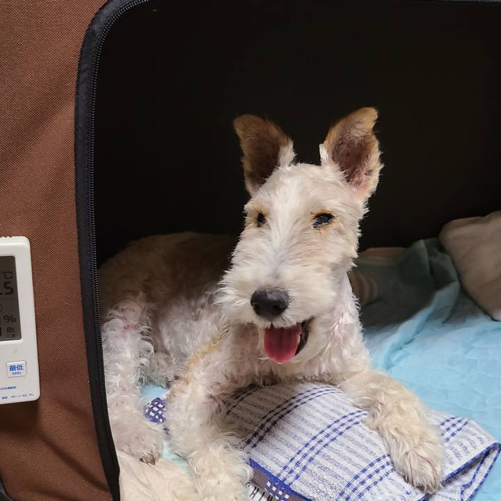 5ff8d724 6a5a 4582 bd64 a829b48534e4 1660123338923