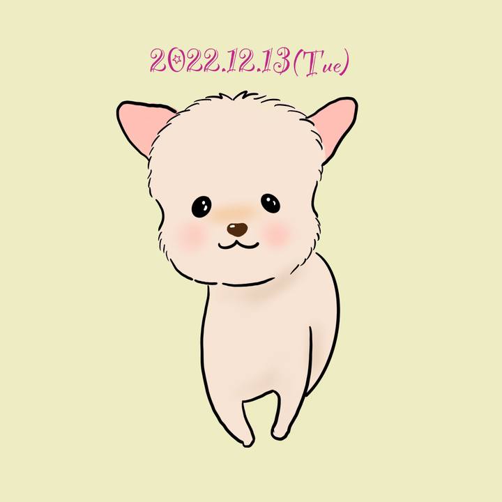 5ff8f9b5 0ed7 4ff2 bbe5 2f653527e398 1670929630492