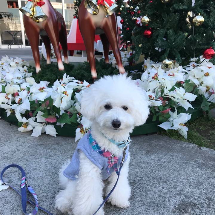 5ff9488e abb4 4a67 aed3 cb1b73182122 1513420744184