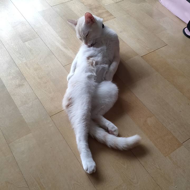 5ff94f3b fdcb 4fe5 bbd6 98554ec1a519 1634365986448