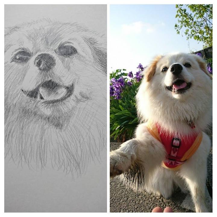 5ff967a6 6646 43ce bf2c 5bef2d050914 1642391541656