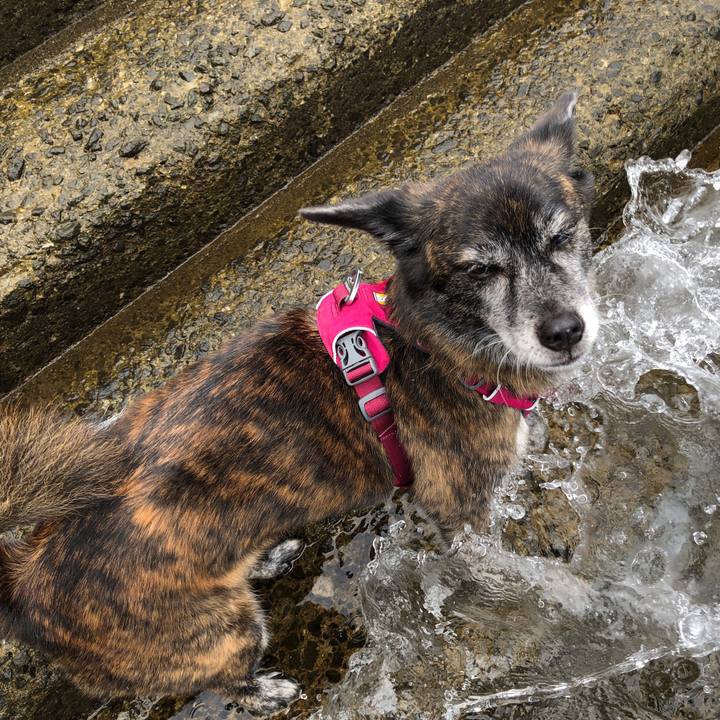 5ff97a29 1ab4 443a 8fc8 24f020411599 1662425829452