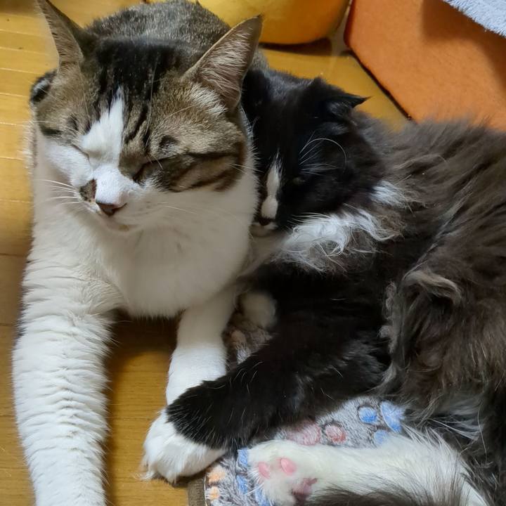 5ff9bb36 22f8 4726 a6a6 5b3f53b935ae 1677399802724