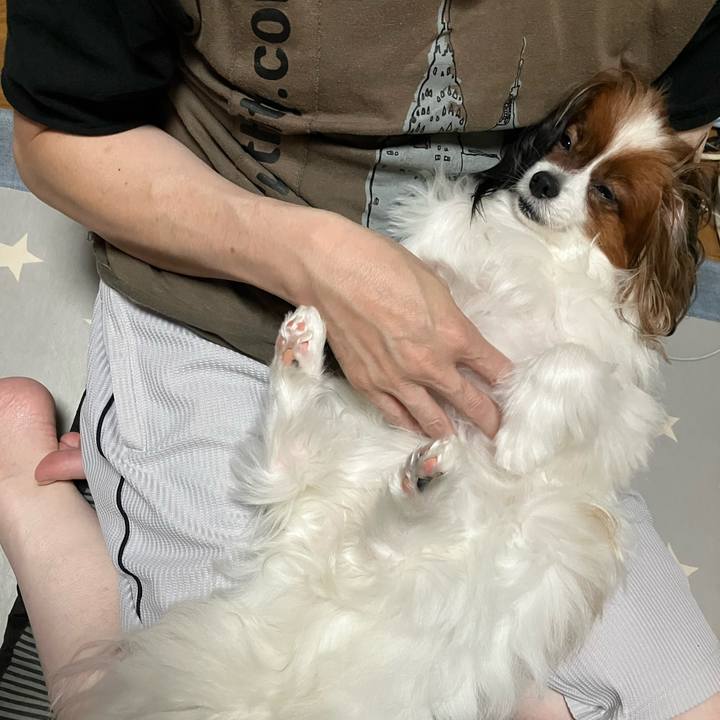 5ff9f3df 46b4 41fb b7cf 6fd5fe78ae96 1727673870241