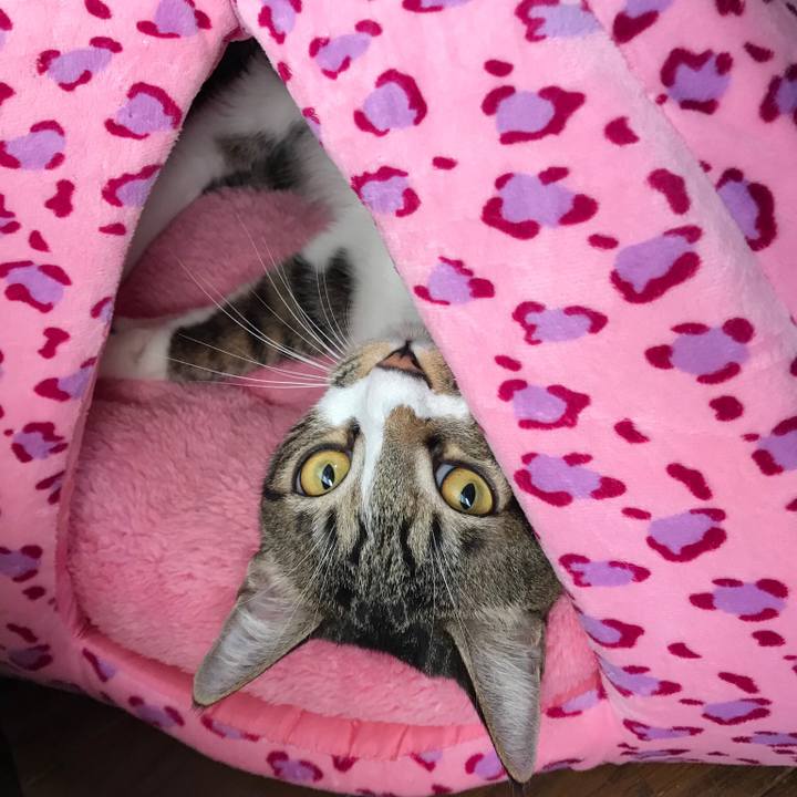 5ffa0314 f2c2 4bc9 bc8d 6abdf0a451e3 1509057559001