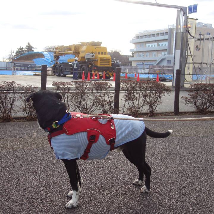 5ffa0734 0cfd 42b0 8812 dca5731a6794 1675128765432