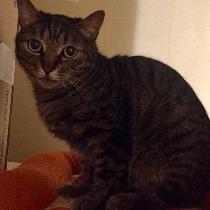 5ffa1972 7881 414f aaa7 02a4a3a557cc 1527001155269