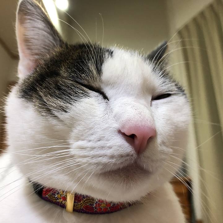 5ffa262a 69db 4ef7 8897 7cc85977f91e 1638710990629