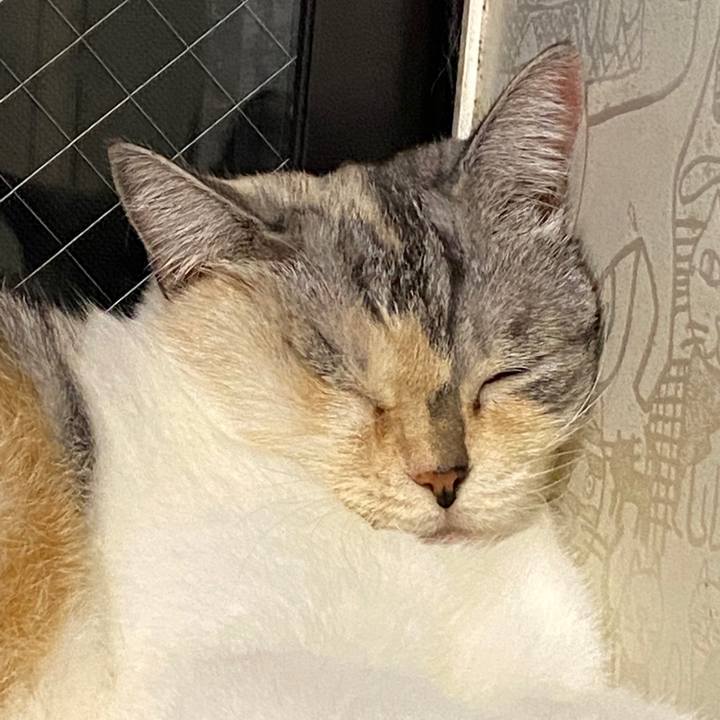 5ffa2f82 c442 43b5 aa81 4811c882fa9a 1599624777047