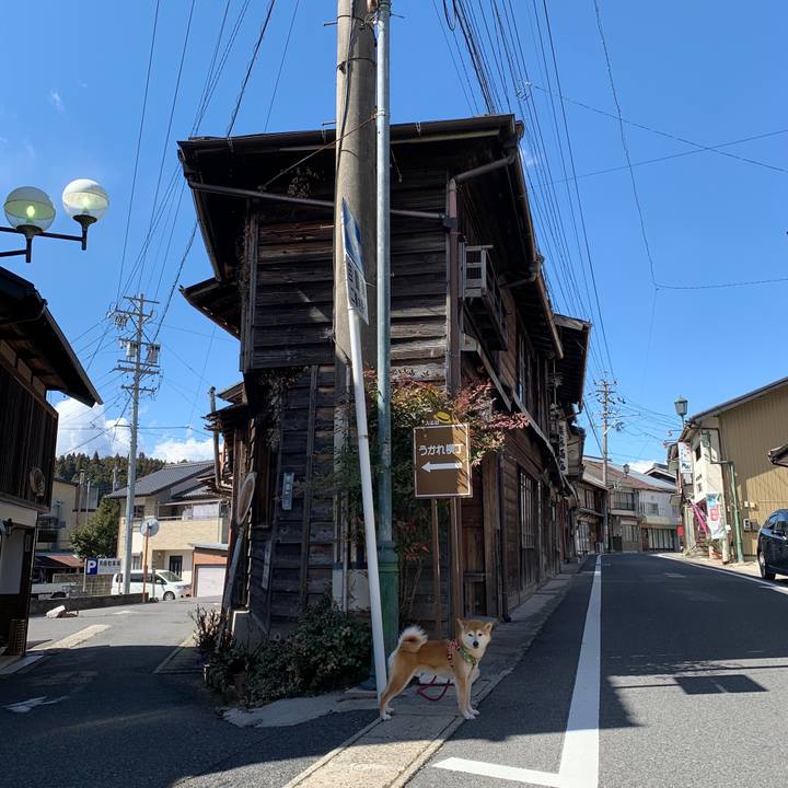 5ffa3693 38ae 49a3 b7f6 5571a6e75bb6 1584524933986